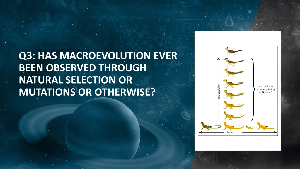 q3 has macroevolution ever been observed through
