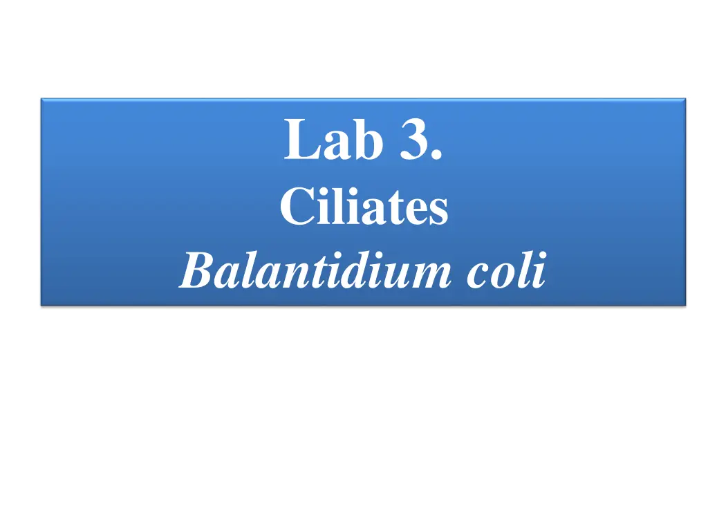 lab 3 ciliates