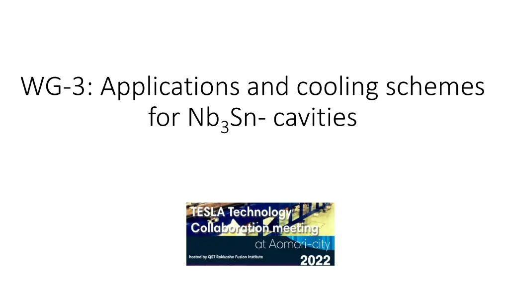 wg 3 applications and cooling schemes