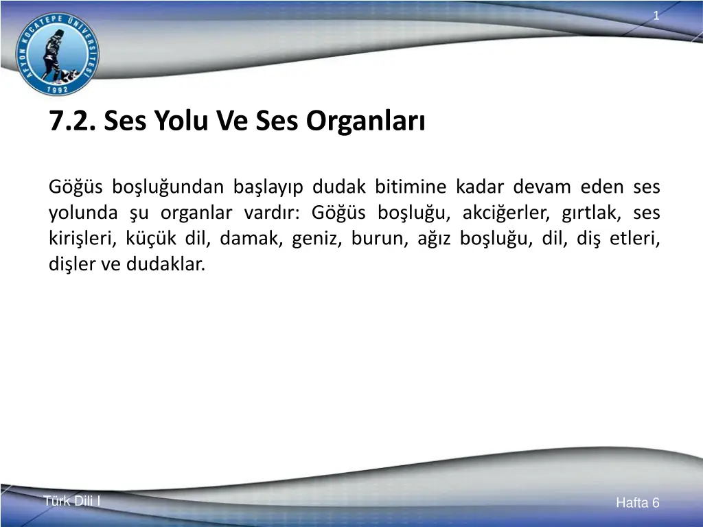 slide19