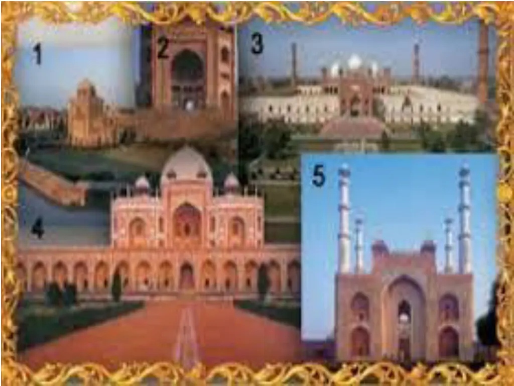 slide11