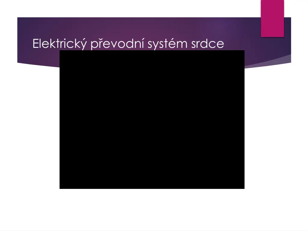 elektrick p evodn syst m srdce