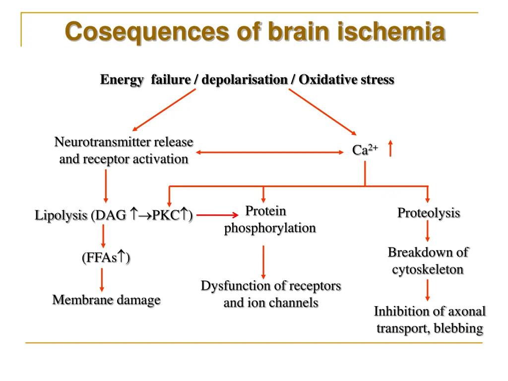 cosequences of brain ischemia