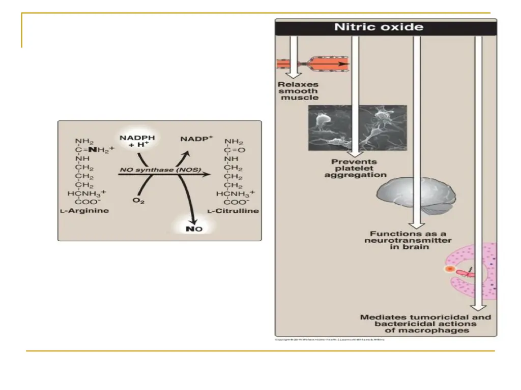 slide17