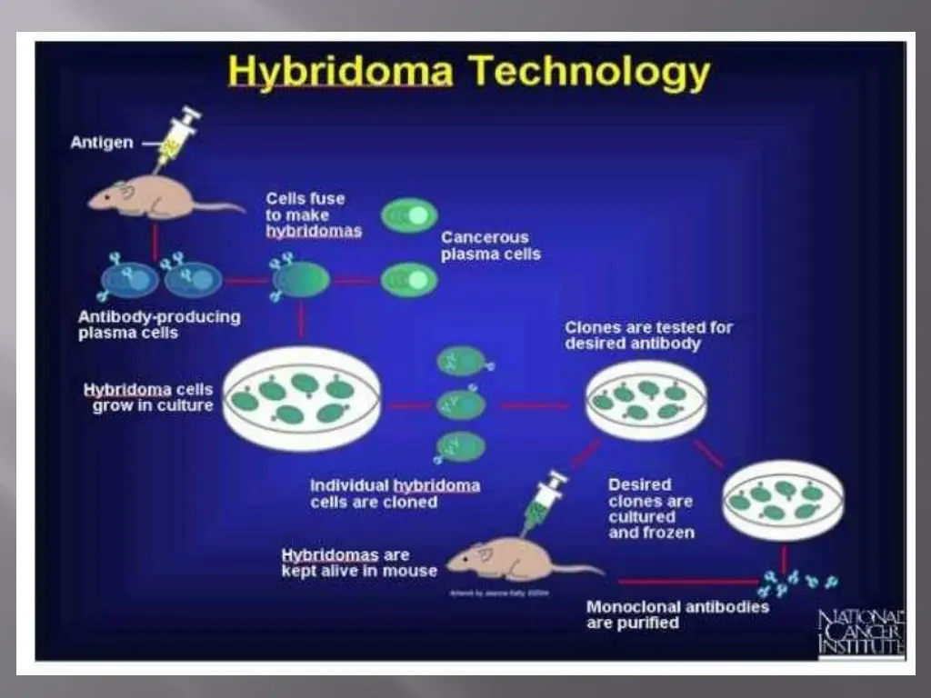 slide7