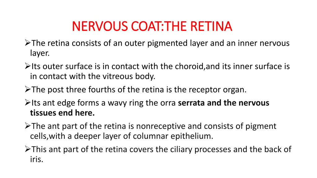 nervous coat the retina nervous coat the retina