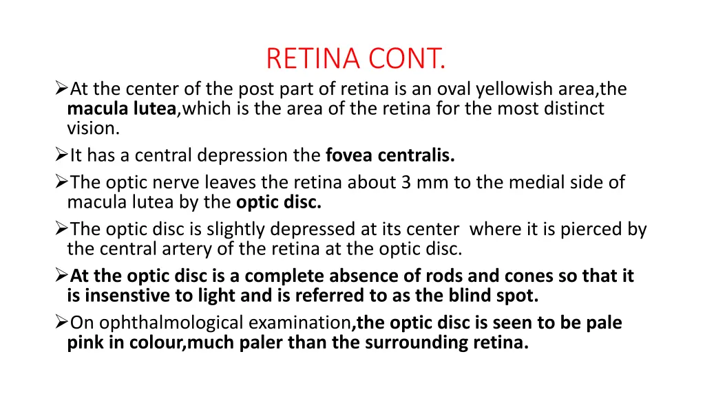 retina cont