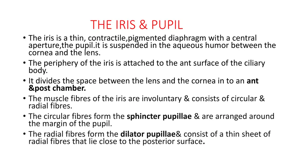 the iris pupil