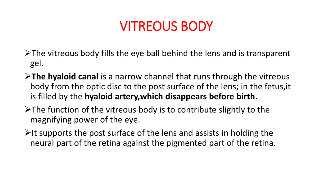 vitreous body vitreous body