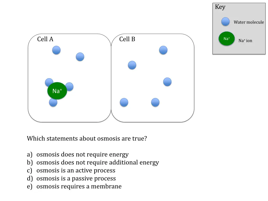 slide11