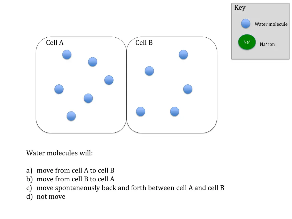 slide4