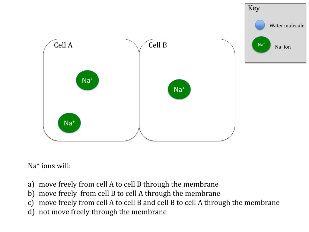slide5