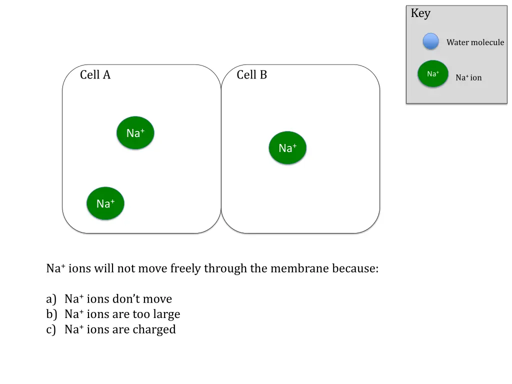 slide6