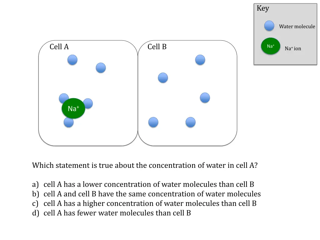 slide8