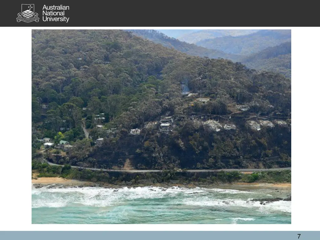 slide7