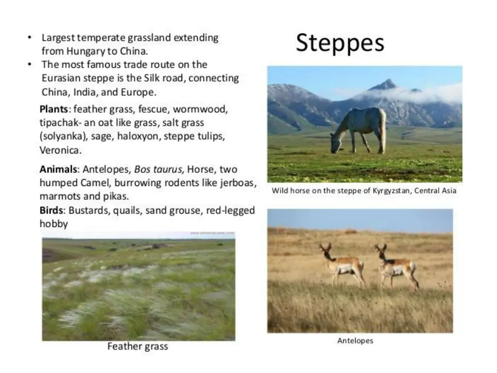 slide3