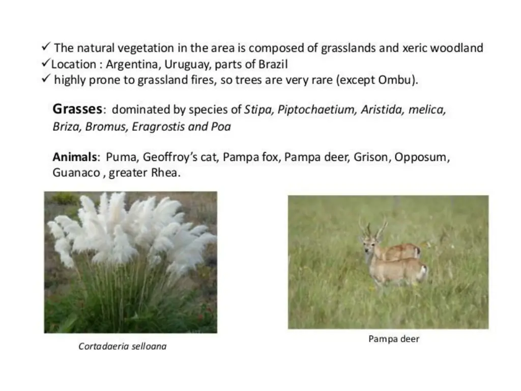 slide4