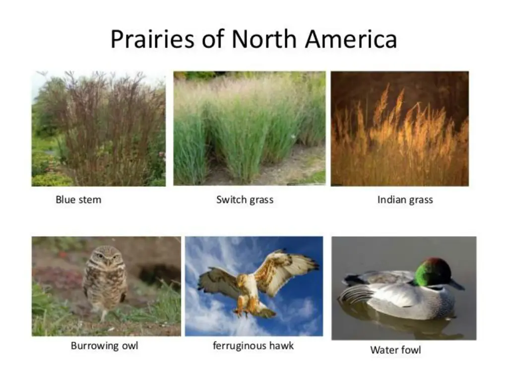 slide5
