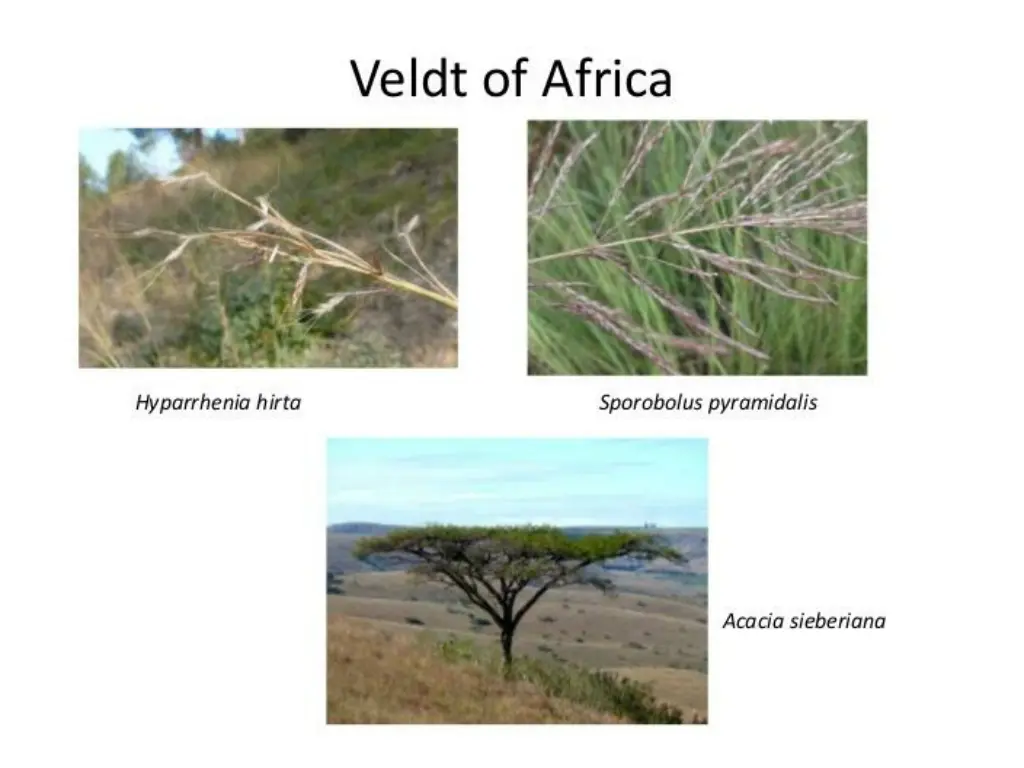 slide6