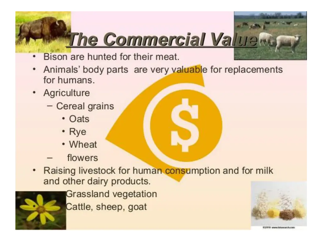 slide8