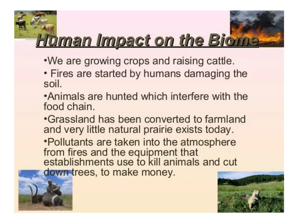 slide9