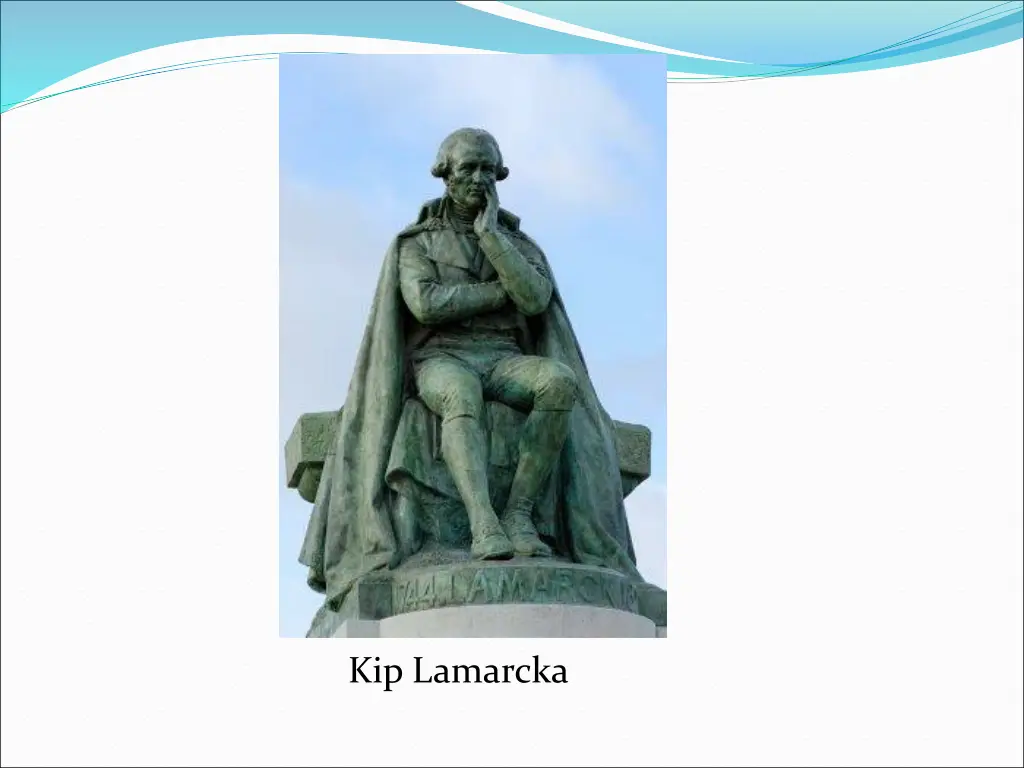 kip lamarcka