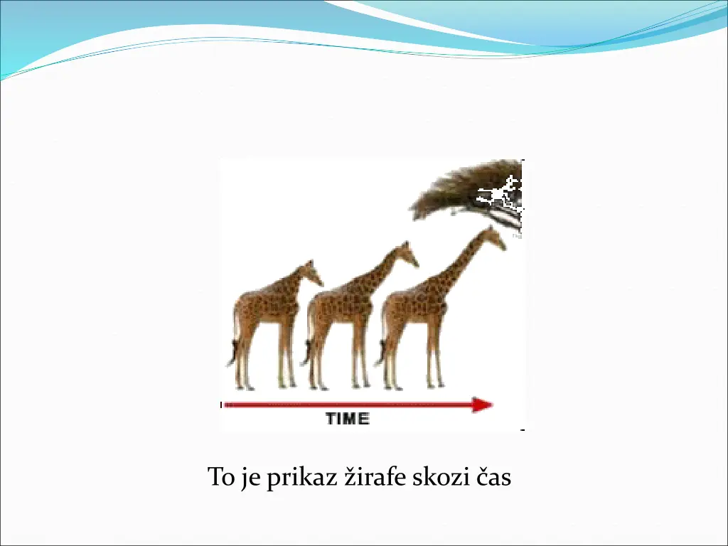 to je prikaz irafe skozi as
