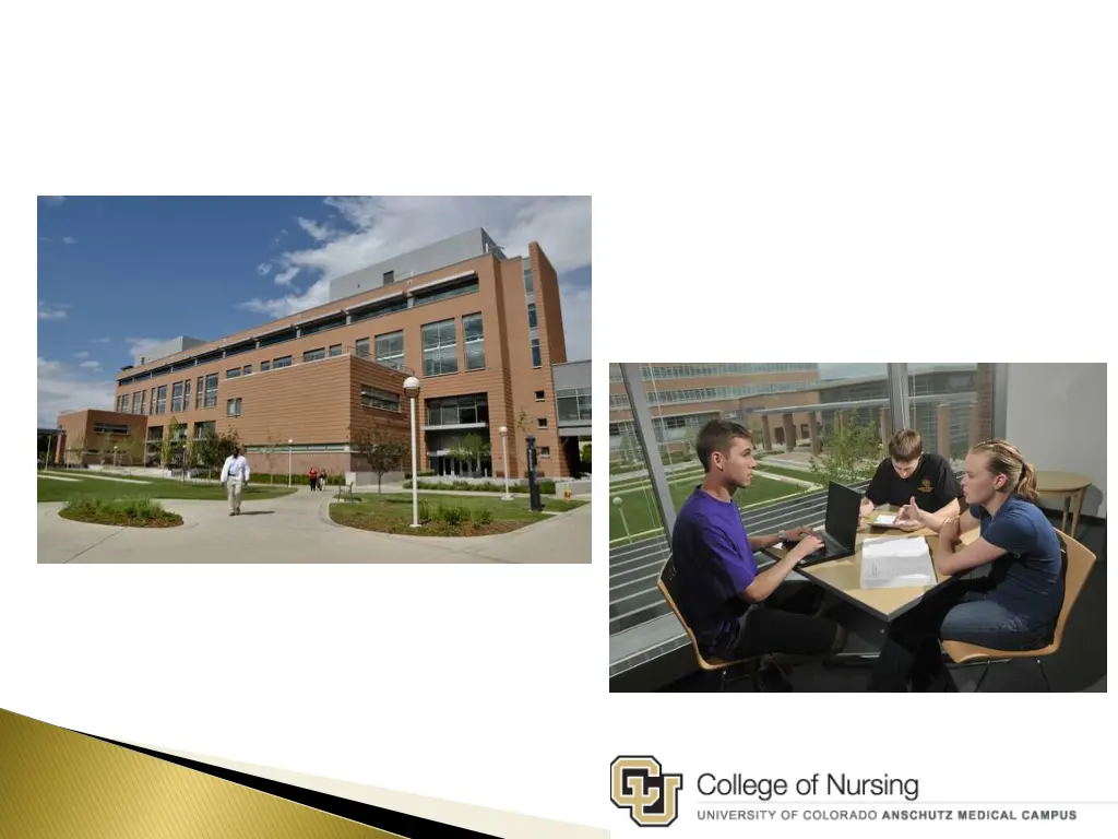 college of nursing 1