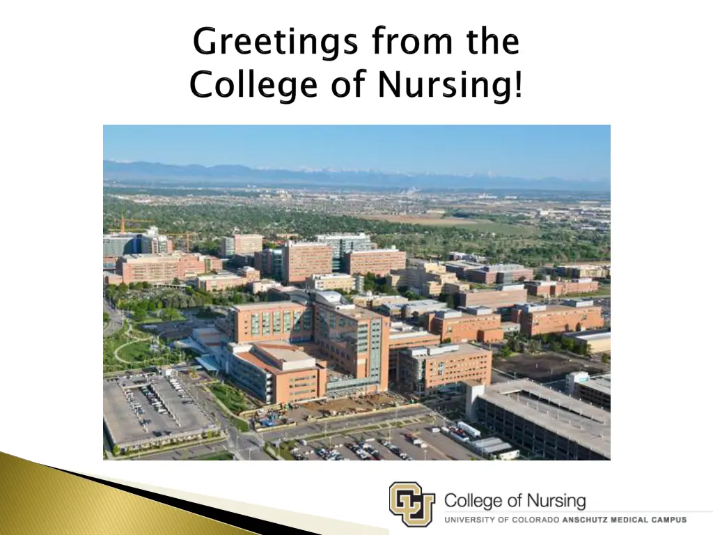 college of nursing