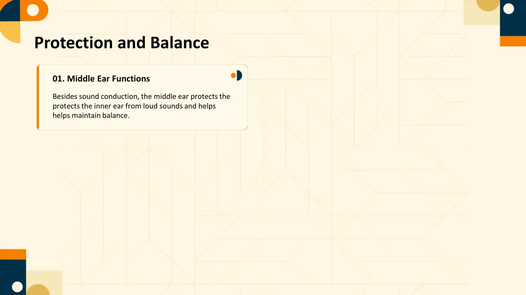 protection and balance