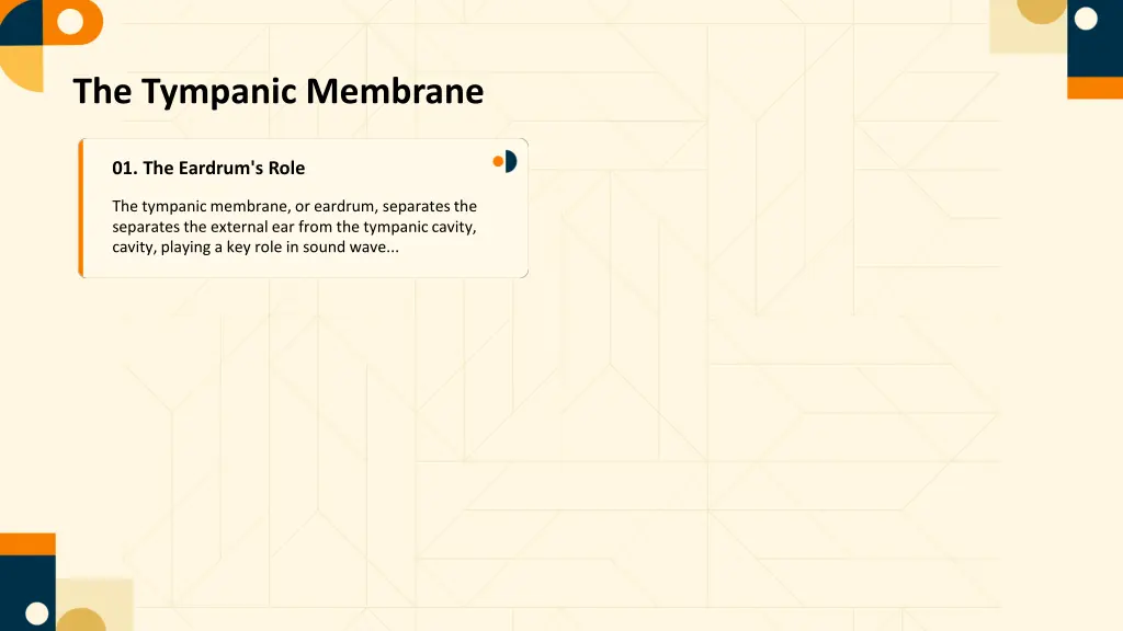 the tympanic membrane