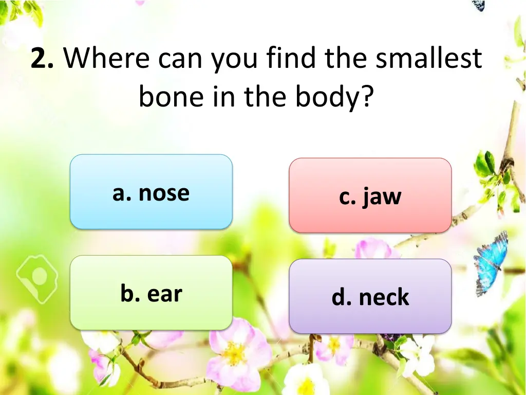 2 where can you find the smallest bone in the body