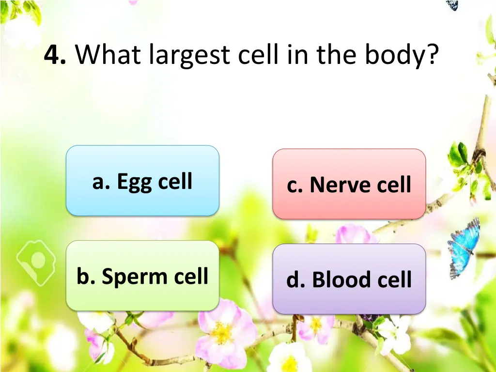 4 what largest cell in the body