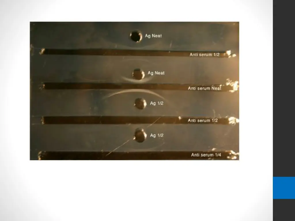 slide7