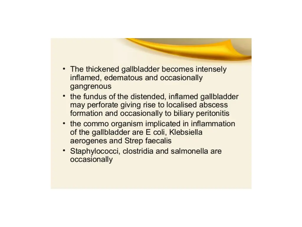 slide8