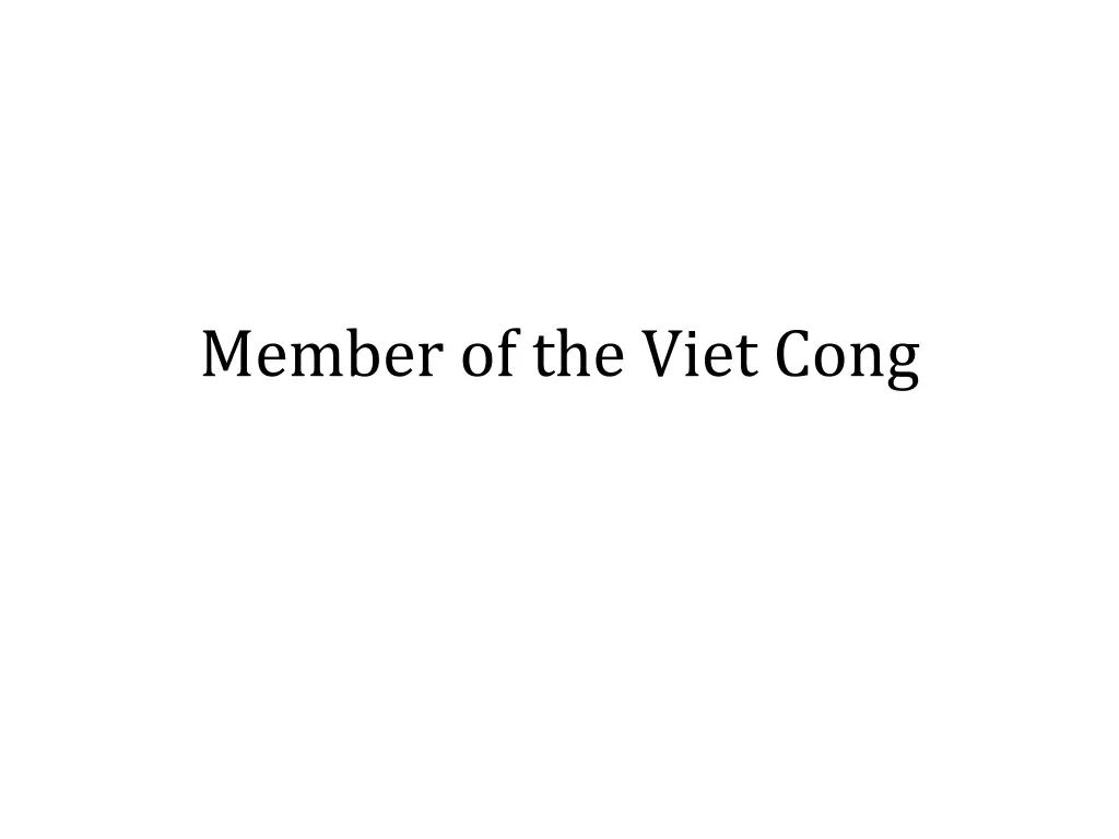 member of the viet cong