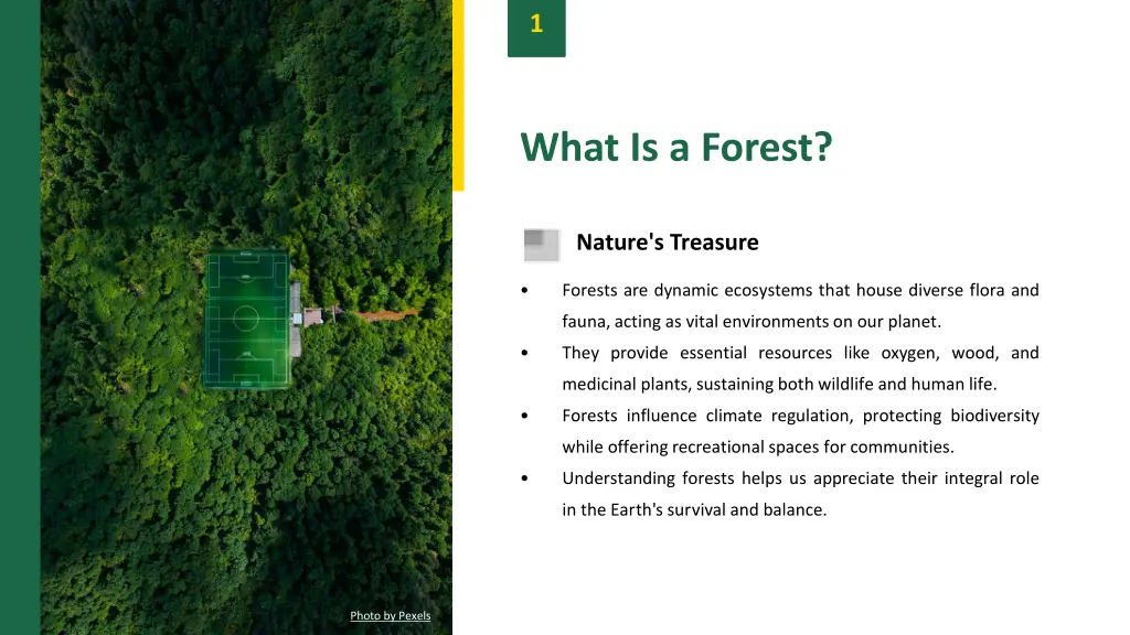 slide3