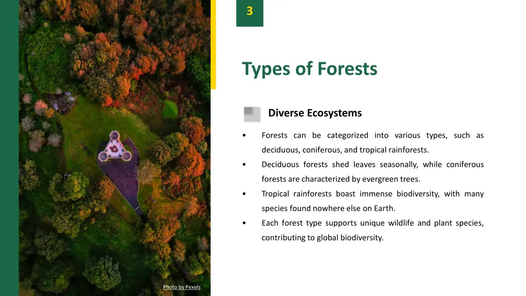 slide5