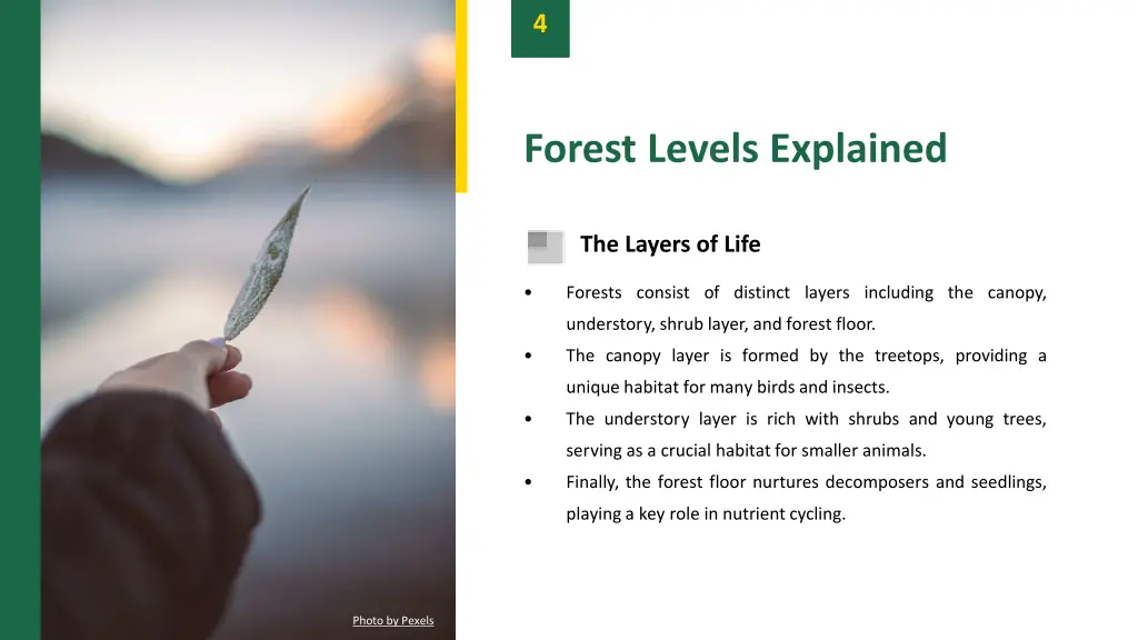 slide6