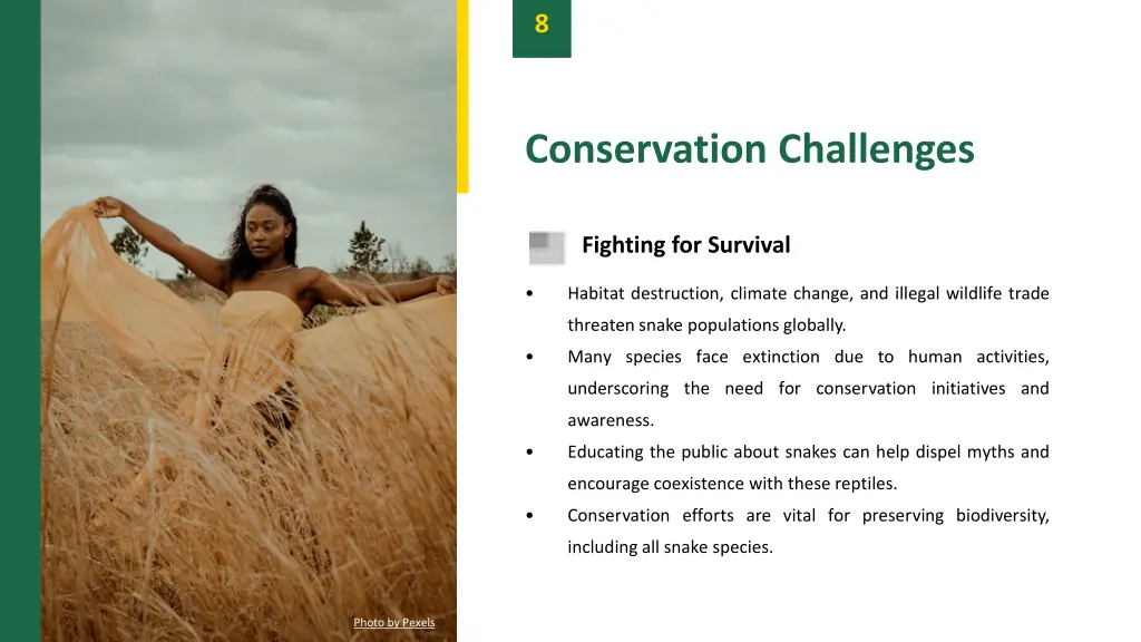 slide10