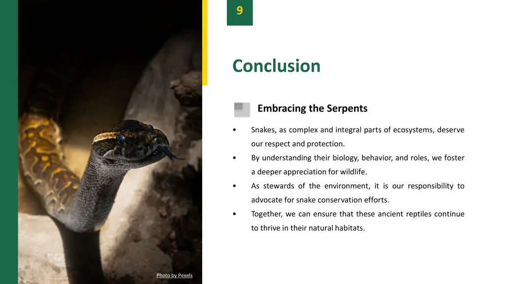 slide11