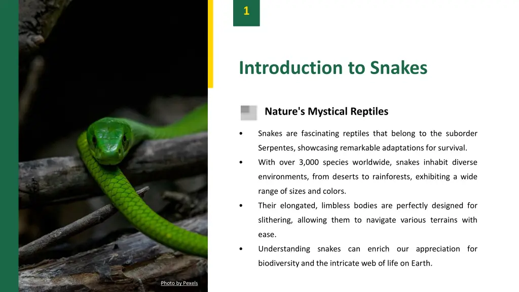 slide3