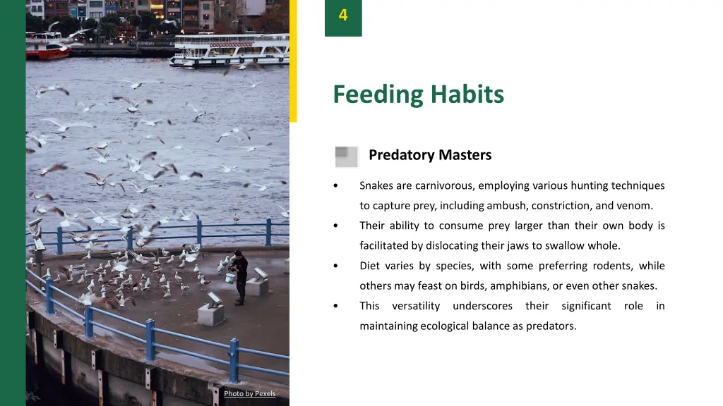 slide6