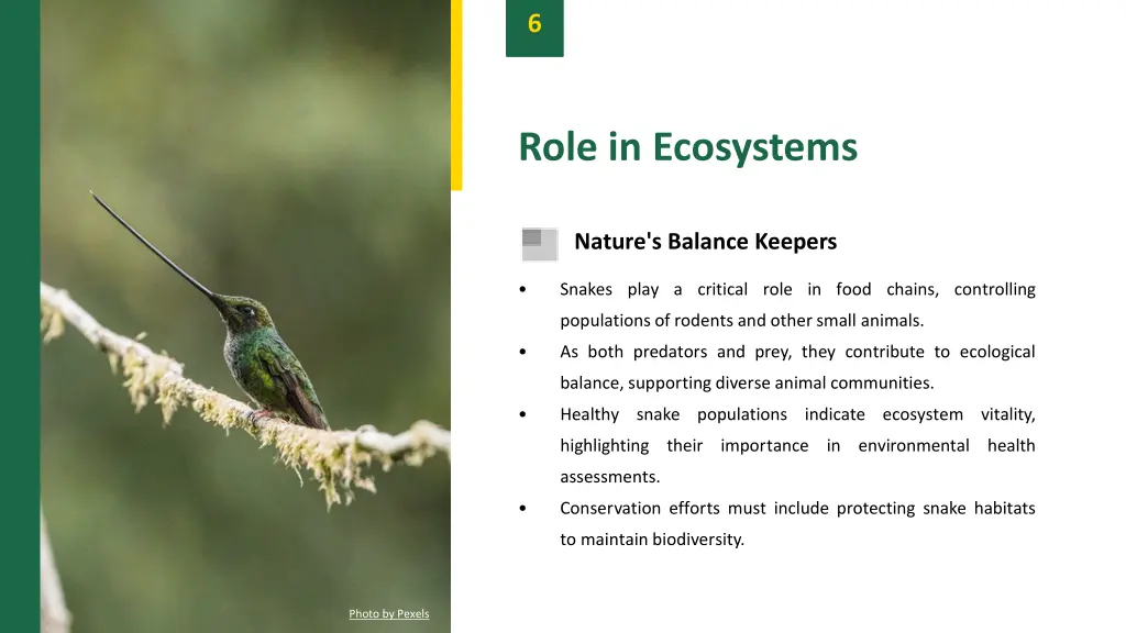 slide8