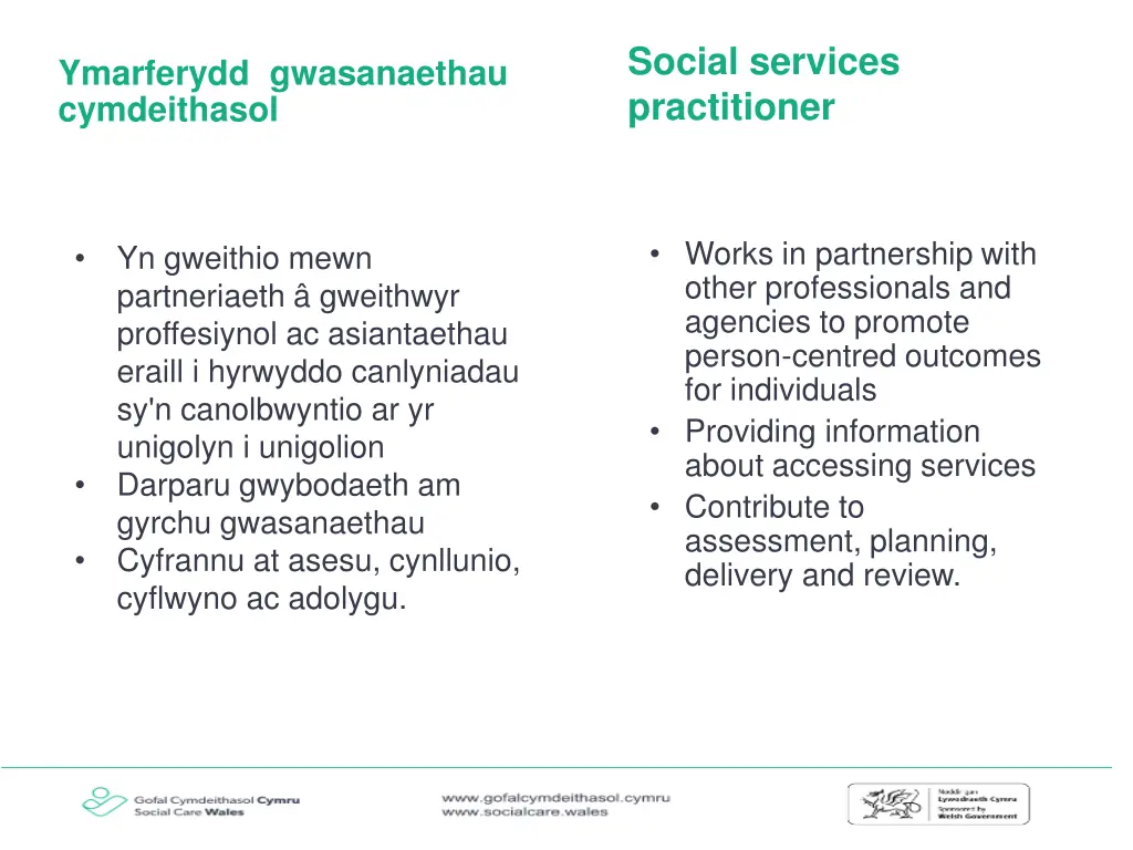 social services practitioner