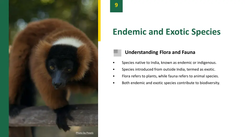 slide11