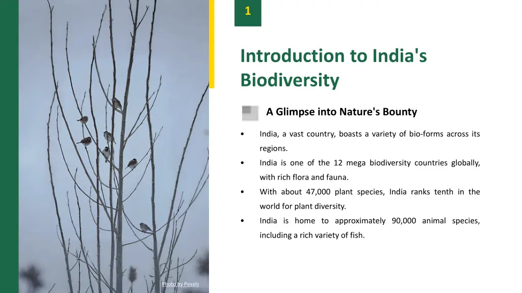 slide3
