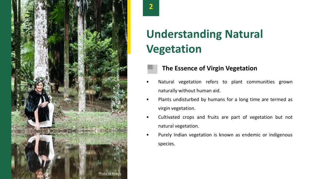slide4