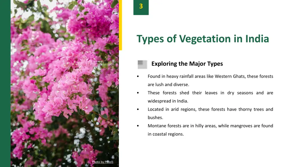 slide5