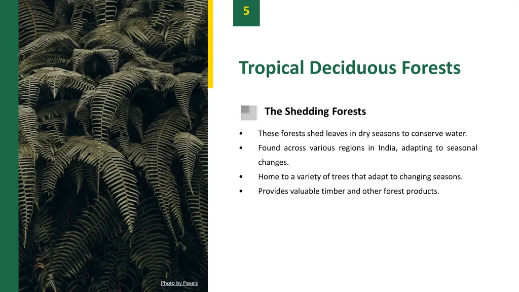 slide7
